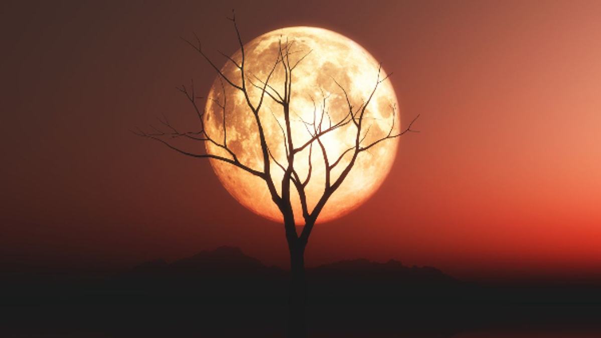First Supermoon of 2026