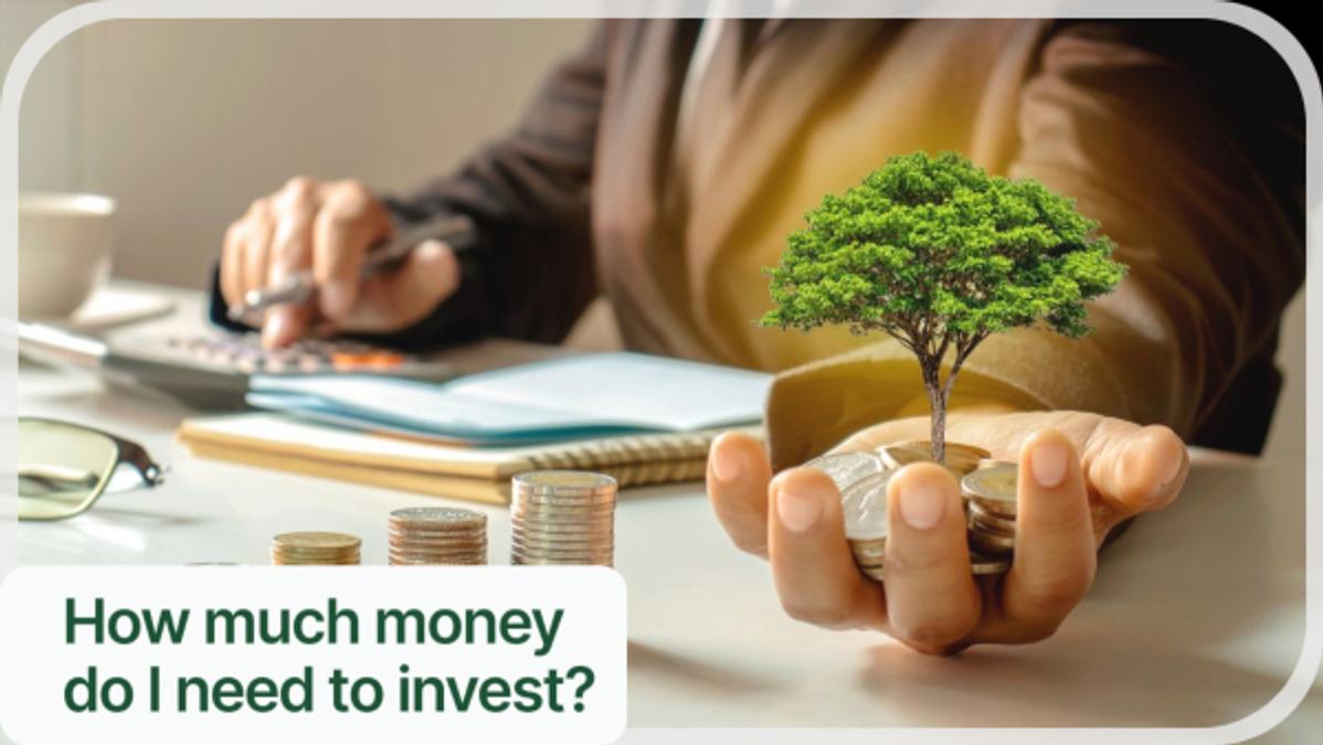 investment