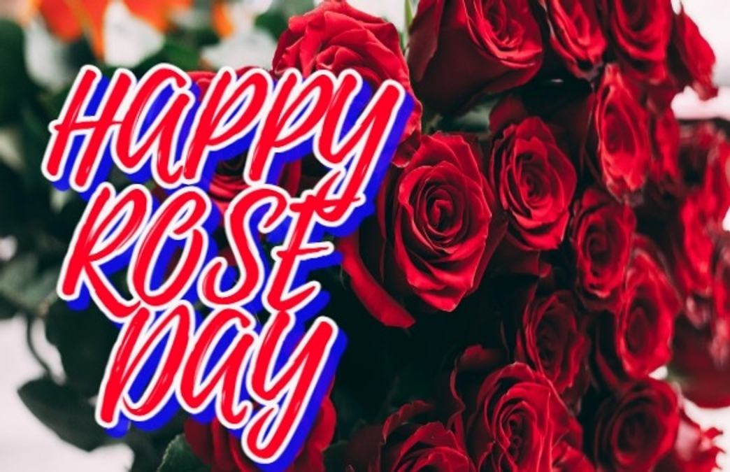 Happy Rose Day