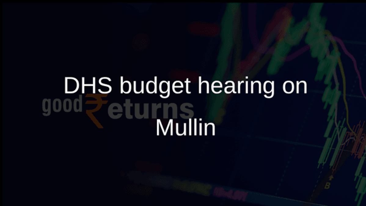 DHS budget hearing on Mullin