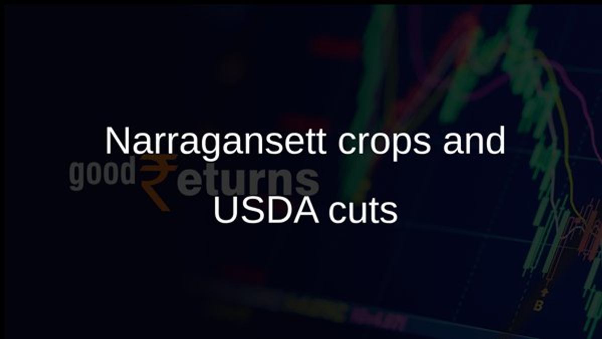 Narragansett crops and USDA cuts