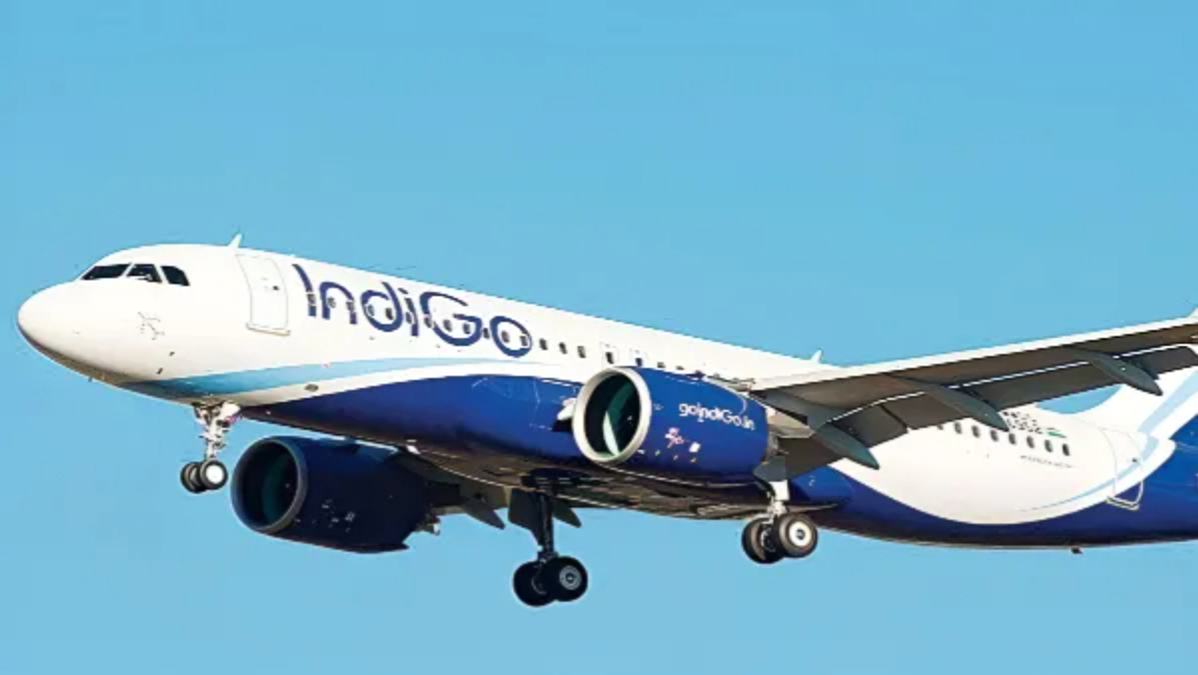 IndiGo Website