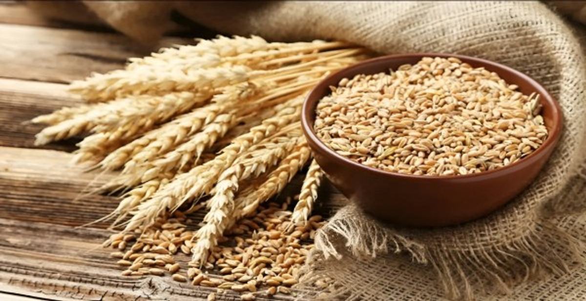 India Lifts Wheat Export Ban After 4 Years