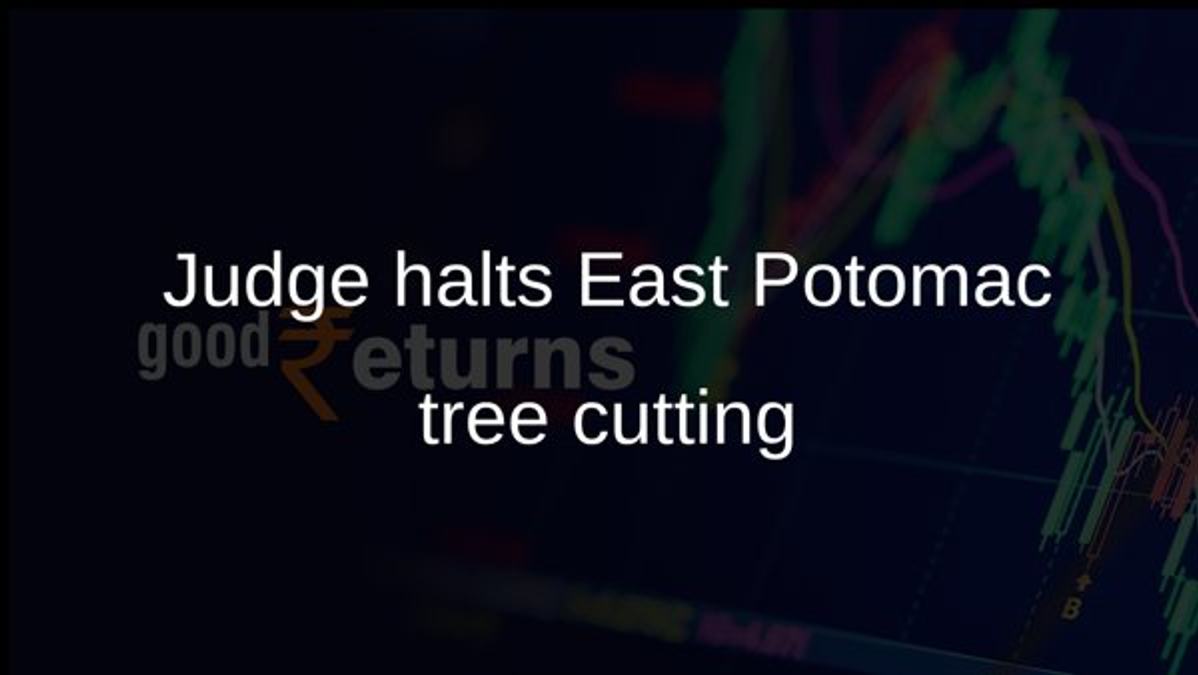 Judge halts East Potomac tree cutting