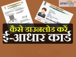 क्या है ई-आधार, कैसे डाउनलोड करें ई-आधार कार्ड?