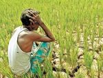 PM Kisan : चुनाव आचार संहिता से करोड़ों गरीब किसानों को झटका