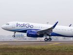 IndiGo लंबी दूरी की उड़ानों में बिजनेस क्लास सुविधाएं देने की योजना बना र‍हा