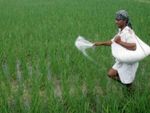 मोदी सरकार: किसानों को मिट्टी की जरुरत के अनुसार मिलेगा उर्वरक