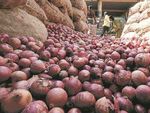 कीमतें कम करने के लिए भारत करेगा 6090 टन प्याज का आयात