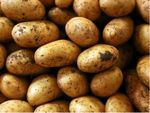 महंगाई : आलू के बढ़ सकते हैं दाम, जानिये क्या है कारण