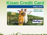 Kisan Credit Card : 1.22 करोड़ किसानों को मिला लाभ, जानिए पूरी डिटेल