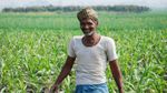 Farmers Schemes : किसानों के लिए ये 5 शानदार सरकारी योजनाएं, जानिए नाम