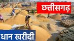 छत्तीसगढ़ में धान की खरीदी जारी, अब तक 115.94 लाख मीट्रिक टन की खरीद