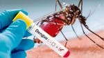 Bengaluru Dengue Alert: तेजी से बढ़ रहे डेंगू के मरीज! 20 दिनों में आए 1000 मामले,चपेट में आए BBMP चीफ कमिश्नर
