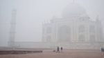 Taj Mahal Fog Today: कहां गया ताजमहल? ताजमहल देखने गए पर्यटक हुए परेशान, देखें पूरी खबर