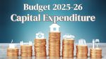 Budget 2025: आखिर क्या होता है Capital Expenditure? बस इन 3 प्वाइंट्स में समझें, छूमंतर हो जाएगी कंफ्यूजन!