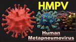HMPV Virus: HMPV वायरस ने भारत में दी दस्तक! ऐसे करें लक्षणों की पहचान और इससे बचाव, जानें ये अहम जानकारी