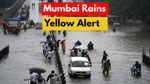 Mumbai Weather Prediction: भारी बारिश से मुंबई की रफ्तार पड़ी धीमी, लोकल ट्रेन और सड़कों पर गाड़ियां थमीं