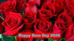 Happy Rose Day 2026: प्यार की शुरुआत आज से, क्या आपने गुलाब दिया? शब्दों से सजाइए प्यार, भेजें ये मैसेज