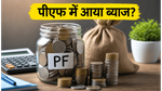 EPFO Interest Rate 2026: क्या इस हफ्ते खाते में क्रेडिट होगा 8.25% पैसा? ऐसे चेक करें अपना बैलेंस