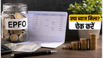 EPFO ब्याज अपडेट: क्या आपके खाते में आए 8.25% पैसे? ऐसे चेक करें अपना बैलेंस