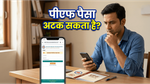 पीएफ बैलेंस चेक करने में हो रही दिक्कत? तुरंत अपडेट करें अपना मोबाइल नंबर, वरना अटक सकता है पैसा!