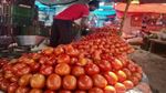 Tomato Prices: टमाटर ने बिगाड़ा रसोई का बजट! दिल्ली में 92 रुपये किलो तक पहुंचा भाव, जानिए कब मिलेगी राहत