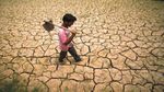 US-Iran Peace Deal तो हो गई, लेकिन अब Monsoon न बन जाए विलेन!