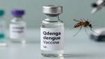भारत में पहली Dengue Vaccine को मंजूरी! 4 से 60 साल तक के लोगों को मिलेगा सुरक्षा कवच