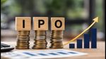 IPO Alert: 24 अगस्त से खुल रहे हैं 3 बड़े IPO, निवेश से पहले जान लें ये जरूरी नियम