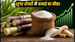 Sugar Stocks: चीनी की कीमतों में आग, इन 7 शेयरों में इंट्राडे ट्रेडिंग की दमदार रणनीति