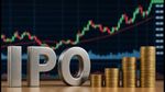 Paluck Technologies IPO Listing: 252 गुना सब्सक्राइब हुआ शेयर, आज बाजार में कैसी होगी धमाकेदार एंट्री?
