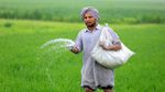 Urea Price: दिवाली से पहले किसानों को बड़ी राहत, 10% तक सस्ता हुआ यूरिया; रबी फसलों के लिए नहीं होगा संकट