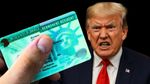 H1B Visa: TCS, Infosys समेत 8 कंपनियों के Green Card पर रोक, अब क्या करें NRIs?