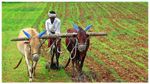 PM Kisan 14th Installment : ಮುಂದಿನ ತಿಂಗಳು ಪಿಎಂ ಕಿಸಾನ್ 14ನೇ ಕಂತು ಬಿಡುಗಡೆ, ಸ್ಟೇಟಸ್ ಚೆಕ್ ಮಾಡಿ