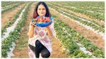Gurleen Chawla: ಬಂಜರು ಭೂಮಿಯಲ್ಲಿ ಸ್ಟ್ರಾಬೆರಿ ಬೆಳೆದ ಕಾನೂನು ಪದವೀಧರೆ ಆದಾಯವಿಷ್ಟು!