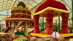 Lalbagh flower show 2025: ಈ ಬಾರಿಯ ಪುಷ್ಪ ಪ್ರದರ್ಶನದ ಬಜೆಟ್‌ ಎಷ್ಟು ಗೊತ್ತಾ?