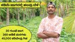 GR Exclusive: 30 ಗುಂಟೆ ಜಾಗ..368 ಅಡಿಕೆ ಮರ, 45,000 ಕರಿಬೇವು ಬೆಳೆ..! ಕೃಷಿಯಲ್ಲೇ 'ಕೀರ್ತಿ' ಶಿಖರ ಏರಿದ ರೈತನ ಕಥೆ!