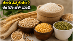 NFP ಸಂಪೂರ್ಣ ಫುಡ್ಸ್ ಐಪಿಒ: ಅಲಾಟ್‌ಮೆಂಟ್ ಫಲಿತಾಂಶ ಪ್ರಕಟ, ನಿಮ್ಮ ಅದೃಷ್ಟ ಪರೀಕ್ಷಿಸಿಕೊಳ್ಳಿ!