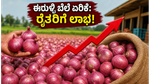 ರೈತರಿಗೆ ಬಂಪರ್ ಲಾಭ: ಈರುಳ್ಳಿ ಖರೀದಿ ಬೆಲೆ ಏರಿಕೆ, ಇನ್ಮುಂದೆ ಅಡುಗೆ ಮನೆ ಬಜೆಟ್ ಸೇಫ್!