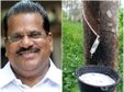 റബര്‍ മേഖലയ്ക്ക് പ്രതീക്ഷ; തളിപ്പറമ്പില്‍ റബര്‍ അധിഷ്ഠിത വ്യവസായം വരുന്നു, 500 പേര്‍ക്ക് ജോലി