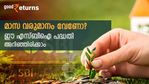ഒറ്റതവണ പണമടച്ചാൽ 5 വർഷത്തേക്ക് മാസ വരുമാനം ഉറപ്പിക്കാം; അറിയാം ഈ എസ്ബിഐ പദ്ധതി