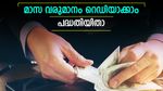 30-ാം വയസ് മുതൽ മാസ വരുമാനം റെഡി; ജോലി വിടാൻ തോന്നുമ്പോൾ വിരമിക്കാം; നിക്ഷേപം ഇങ്ങനെ