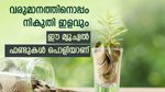 55 ശതമാനം വരെ റിട്ടേൺ, നികുതി ഇളവും ഉറപ്പാണ്, ഇപ്പോൾ നിക്ഷേപിക്കാൻ 5 മ്യൂച്വൽ ഫണ്ടുകൾ