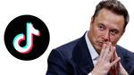 'എലോൺ മസ്കിന് ടിക് ടോക്ക് വേണം', കോടികൾ മുടക്കാൻ ആള് റെഡി; പക്ഷെ ഒരു പ്രശ്നമുണ്ട്