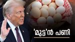 'ട്രംപിന് പണി മുട്ടയിൽ', കിട്ടാനില്ല, വില റോക്കറ്റ് പോലെ കുതിച്ചുയരുന്നു: ഇന്ത്യയ്ക്ക് പ്രശ്നം എന്തെങ്കിലും?