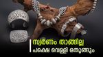 വെള്ളിയിൽ സിംപിൾ ആയി നിക്ഷേപിച്ചാലോ? 1000 മുതൽ തുടക്കം, സിൽവർ ഇടിഎഫുമായി സെറോധ