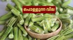 സാമ്പാറിന് ഇനി മുരിങ്ങക്കായ വേണോ? മുരിങ്ങക്കായക്ക് പൊന്നും വില; ശബരിമല സീസണിലും വിലക്കയറ്റം ശക്തം