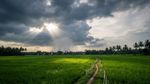 കനത്ത ചൂടിന് ആശ്വാസം, കേരളത്തിലെ ഈ ജില്ലകളിൽ ഇന്ന് മഴയുണ്ട്, കുട എടുക്കാൻ മറക്കരുത്...
