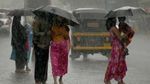 ഇന്നും പരക്കെ മഴ, കുട കരുതിയാൽ നനയാതെ പോകാം, അറിയാം ഇന്നത്തെ കാലാവസ്ഥാ പ്രവചനം